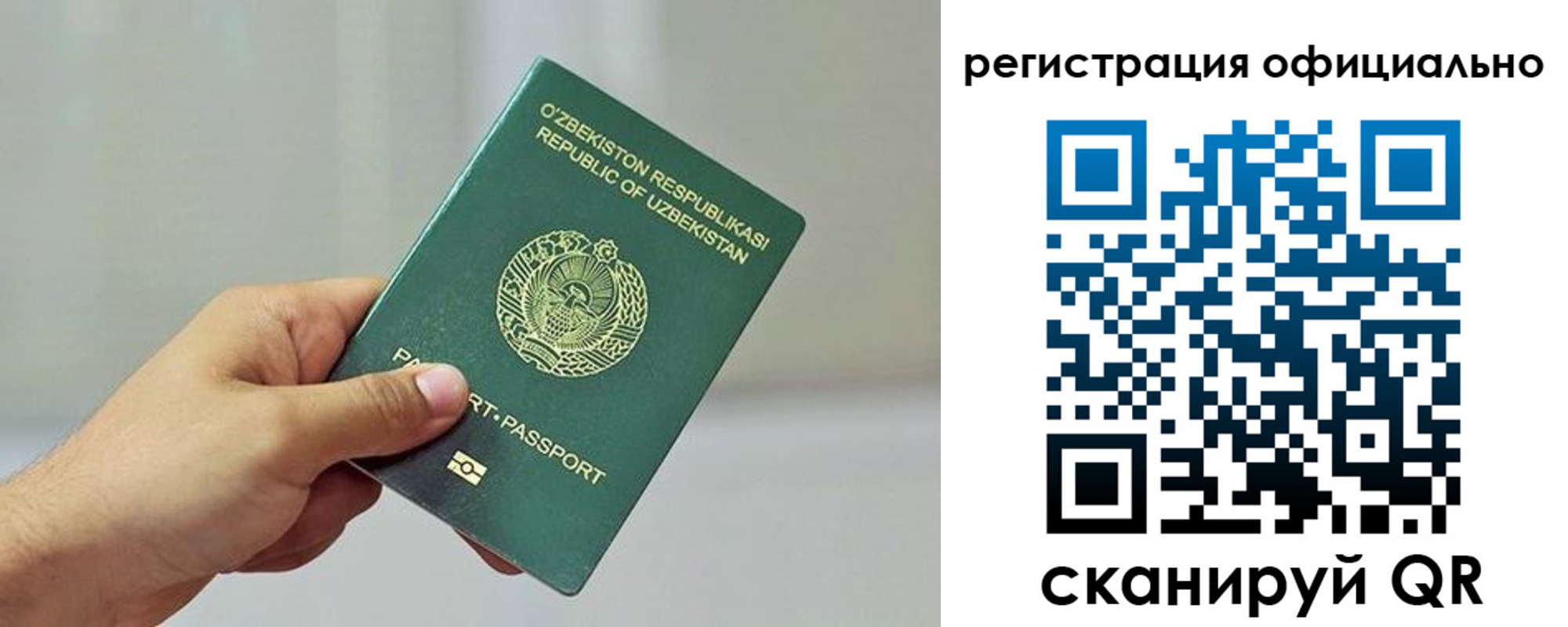 прописка в квартире в Лузе