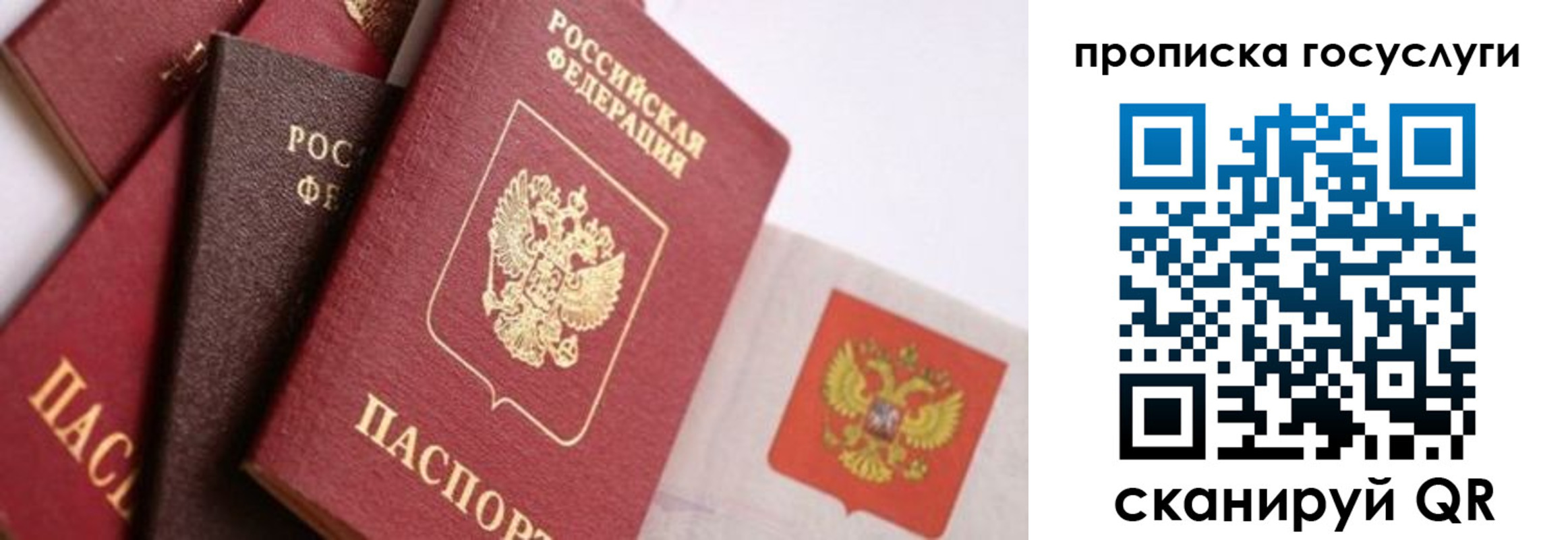 прописка законно в Лузе